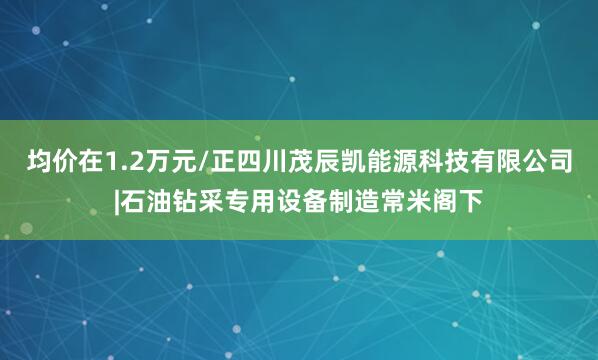 均价在1.2万元/正四川茂辰凯能源科技有限公司|石油钻采专用设备制造常米阁下