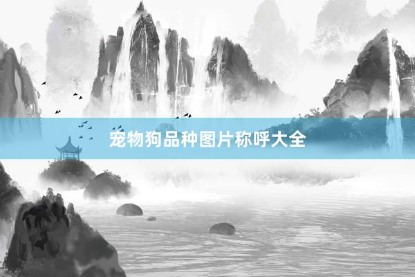 宠物狗品种图片称呼大全