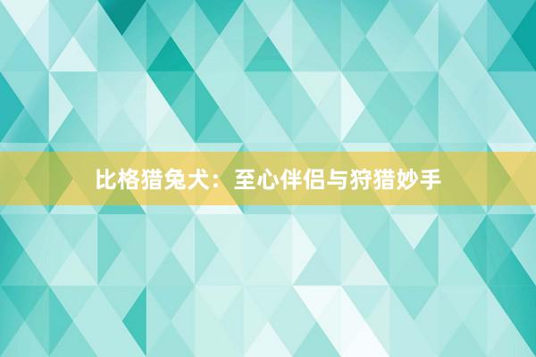 比格猎兔犬：至心伴侣与狩猎妙手