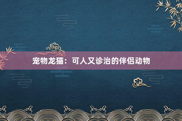 宠物龙猫：可人又诊治的伴侣动物