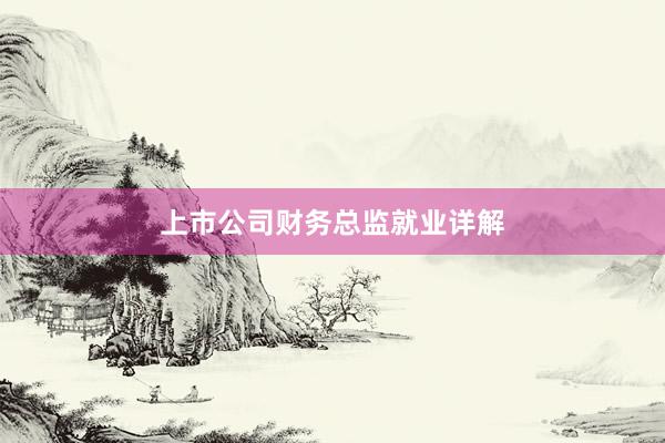 上市公司财务总监就业详解